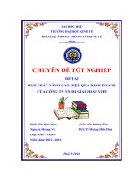 Giải pháp nâng cao hiệu quả kinh doanh của công ty TNHH giải pháp việt 