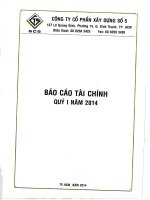 Báo cáo tài chính quý 1 năm 2014 - Công ty Cổ phần Xây dựng số 5