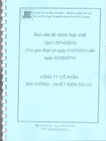 Báo cáo tài chính hợp nhất quý 1 năm 2014 trong giai đoạn chuyển đổi - Công ty Cổ phần Mía đường Nhiệt điện Gia Lai