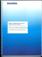 Báo cáo tài chính năm 2015 (đã kiểm toán) - Công ty cổ phần Đầu tư Xây dựng Thương mại Dầu khí-IDICO
