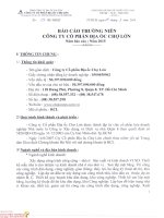 Báo cáo thường niên năm 2015 - Công ty Cổ phần Địa ốc Chợ Lớn