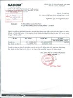 Báo cáo tài chính hợp nhất quý 4 năm 2013 - Công ty Cổ phần Đầu tư và Phát triển Sacom