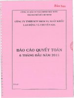 Báo cáo tài chính 6 tháng đầu năm 2015 - CTCP Dịch vụ xuất khẩu lao động và chuyên gia