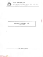 Báo cáo tài chính hợp nhất quý 2 năm 2014 - Công ty Cổ phần Sông Đà 207