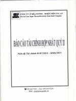 Báo cáo tài chính hợp nhất quý 2 năm 2014 trong giai đoạn chuyển đổi - Công ty Cổ phần Mía đường Nhiệt điện Gia Lai