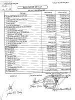 Báo cáo tài chính quý 1 năm 2008 - Công ty Cổ phần Sông Đà 3