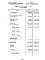 Báo cáo tài chính quý 1 năm 2010 - Công ty cổ phần Đầu tư - Phát triển Sông Đà