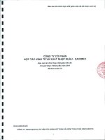 Báo cáo tài chính hợp nhất quý 2 năm 2010 (đã soát xét) - Công ty Cổ phần Hợp tác kinh tế và Xuất nhập khẩu SAVIMEX