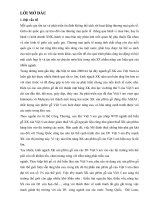 Thực trạng và giải pháp nâng cao hiệu quả hoạt động kinh doanh xuất kh)u sản ph)m gỗ tại công ty T0HH 1 TV lâm 0ghiệp sài gòn (FORIMEX)