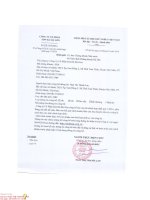 Báo cáo tài chính hợp nhất quý 1 năm 2016 - Công ty Cổ phần Sơn Hà Sài Gòn