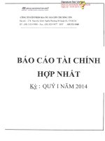Báo cáo tài chính hợp nhất quý 1 năm 2014 - Công ty Cổ phần Địa ốc Sài Gòn Thương Tín