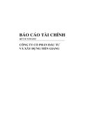 Báo cáo tài chính công ty mẹ quý 2 năm 2015 - Công ty Cổ phần Đầu tư và Xây dựng Tiền Giang