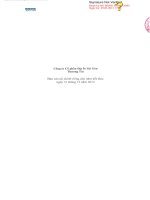 Báo cáo tài chính công ty mẹ năm 2012 (đã kiểm toán) - Công ty Cổ phần Địa ốc Sài Gòn Thương Tín