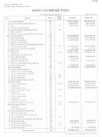 Báo cáo tài chính hợp nhất quý 2 năm 2013 - Công ty Cổ phần Sông Đà 7.04