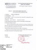 Báo cáo tài chính hợp nhất năm 2015 (đã kiểm toán) - Công ty Cổ phần SCI