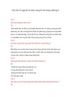 câu hỏi về nguyên lý cháy trong lò hơi