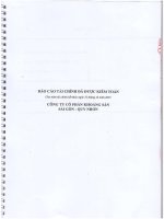 Báo cáo tài chính năm 2015 (đã kiểm toán) - Công ty Cổ phần Khoáng sản Sài Gòn - Quy Nhơn