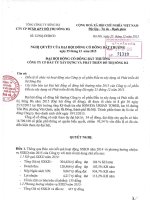 Nghị quyết Đại hội cổ đông bất thường - Công ty Cổ phần Đầu tư Xây dựng và Phát triển Đô thị Sông Đà