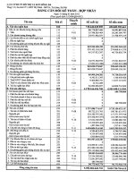 Báo cáo tài chính hợp nhất quý 1 năm 2012 - Công ty Cổ phần Đầu tư Phát triển Đô thị và Khu Công nghiệp Sông Đà
