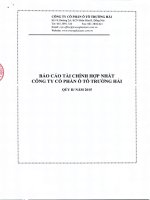 Báo cáo tài chính hợp nhất quý 2 năm 2015 - Công ty cổ phần Ô tô Trường Hải