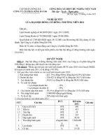Nghị quyết đại hội cổ đông ngày 29-04-2011 - Công ty Cổ phần Sông Đà 9.06