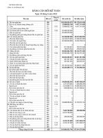 Báo cáo tài chính quý 2 năm 2010 - Công ty Cổ phần Sông Đà 9.06