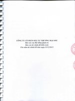 Báo cáo tài chính công ty mẹ năm 2015 (đã kiểm toán) - Công ty Cổ phần Ðầu tư Thương mại SMC