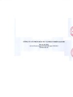 Báo cáo tài chính công ty mẹ quý 2 năm 2015 (đã soát xét) - Công ty Cổ phần Đầu tư và Phát triển Sacom