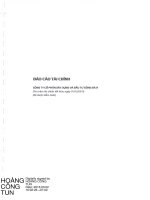 Báo cáo tài chính năm 2015 (đã kiểm toán) - Công ty Cổ phần Xây dựng và Đầu tư Sông Đà 9