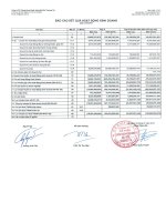 Báo cáo tài chính công ty mẹ quý 2 năm 2013 - Công ty Cổ phần Chứng khoán Ngân hàng Sài Gòn Thương Tín