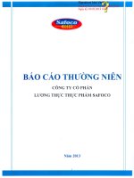 Báo cáo thường niên năm 2013 - Công ty Cổ phần Lương thực Thực phẩm Safoco