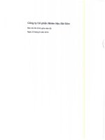 Báo cáo tài chính quý 2 năm 2014 (đã soát xét) - Công ty Cổ phần Nhiên liệu Sài Gòn
