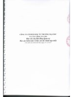 Báo cáo tài chính hợp nhất năm 2013 (đã kiểm toán) - Công ty Cổ phần Ðầu tư Thương mại SMC