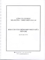 Báo cáo tài chính hợp nhất quý 2 năm 2014 - Công ty Cổ phần Mía đường Nhiệt điện Gia Lai