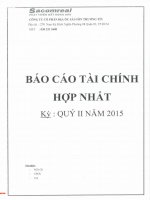 Báo cáo tài chính hợp nhất quý 2 năm 2015 - Công ty Cổ phần Địa ốc Sài Gòn Thương Tín