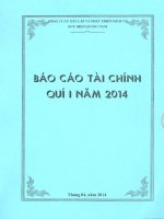 Báo cáo tài chính quý 1 năm 2014 - CTCP Đầu tư Xây dựng và Phát triển Hạ tầng Viễn thông