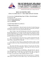 Báo cáo thường niên năm 2010 - Công ty cổ phần Đầu tư - Phát triển Sông Đà