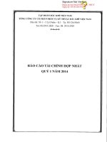 Báo cáo tài chính hợp nhất quý 1 năm 2014 - Tổng Công ty Cổ phần Dịch vụ Kỹ thuật Dầu khí Việt Nam