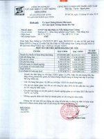 Báo cáo tài chính quý 1 năm 2016 - Công ty cổ phần Vật liệu Điện và Viễn thông Sam Cường