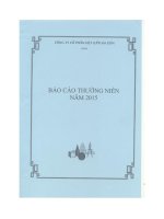 Báo cáo thường niên năm 2015 - Công ty Cổ phần Dệt lưới Sài Gòn