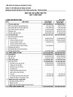 Báo cáo tài chính quý 3 năm 2009 - Công ty cổ phần Bao bì Nhựa Sài Gòn