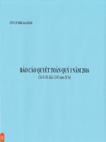 Báo cáo tài chính quý 1 năm 2016 - Công ty Cổ phần Xuất nhập khẩu Sa Giang