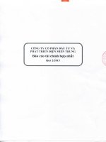 Báo cáo tài chính hợp nhất quý 2 năm 2015 - Công ty Cổ phần Đầu tư và Phát triển Điện miền Trung