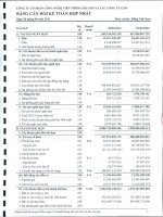 Báo cáo tài chính hợp nhất quý 2 năm 2012 - Công ty Cổ phần Công nghệ Viễn thông Sài Gòn