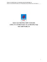 Báo cáo thường niên năm 2010 - Công ty cổ phần Đầu tư & Thương mại Dầu khí Nghệ An