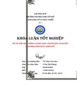 Đánh giá hiệu quả trồng và khai thác lâm sản mây ở huyện nam đông tỉnh thừa thiên huế 