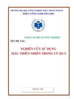 Nghiên cứu sử dụng màu thiên nhiên trong củ quả