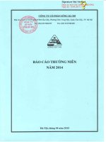 Báo cáo thường niên năm 2014 - Công ty Cổ phần SCI