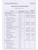 Báo cáo tài chính quý 2 năm 2013 - Công ty Cổ phần Nhiên liệu Sài Gòn