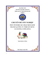 Phân tích hiệu quả hoạt động kinh doanh tại công ty TNHH xây dựng cầu đường cường hùng